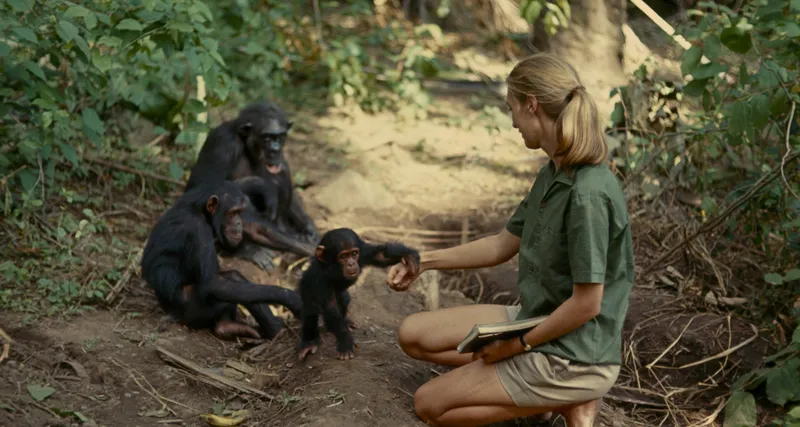 Brilliant Boffins: Jane Goodall - The Chimpanzee Whisperer